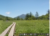 山の鼻から燧ケ岳につづく小道2