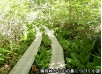 鳩待峠から山ノ鼻