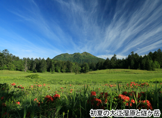 大江湿原
