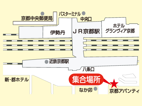 ディズニーリゾート ランド シーのパスポート付大阪 京都 神戸発 関西発 夜行日帰りバスツアー