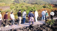 火山体験遊歩道