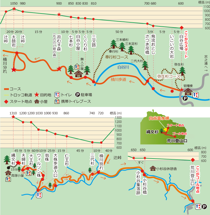 D．白谷雲水峡・苔むすの森・太鼓岩・縄文杉トレッキング4日間)