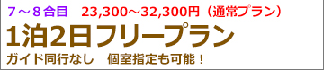 朝発2日間吉田フリー