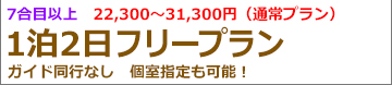 朝発2日間富士宮フリー