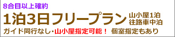 夜発吉田フリー