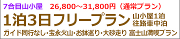 夜発プリンスフリー