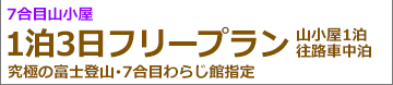 夜発御殿場フリー