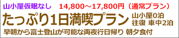 夜行日帰り富士登山吉田フリー