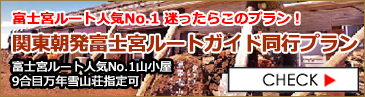 関東朝発富士宮ガイド同行プラン