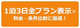 1泊3日全表示