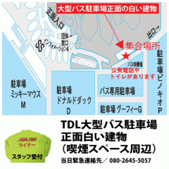 ディズニーリゾート名古屋発 愛知 三重発 夜行日帰り 宿泊バスツアー