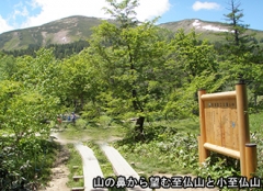 山ノ鼻から至仏山荘