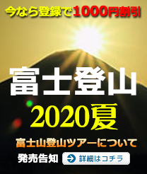 ディズニー画像ランド これまでで最高のディズニー バスツアー 富士