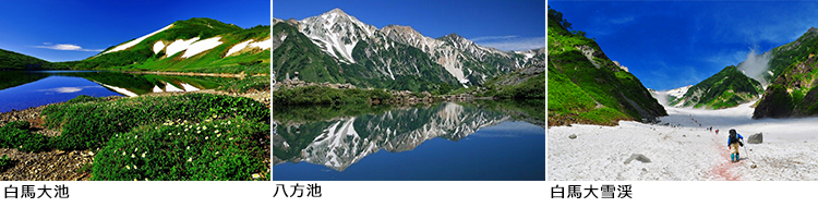 白馬イメージ