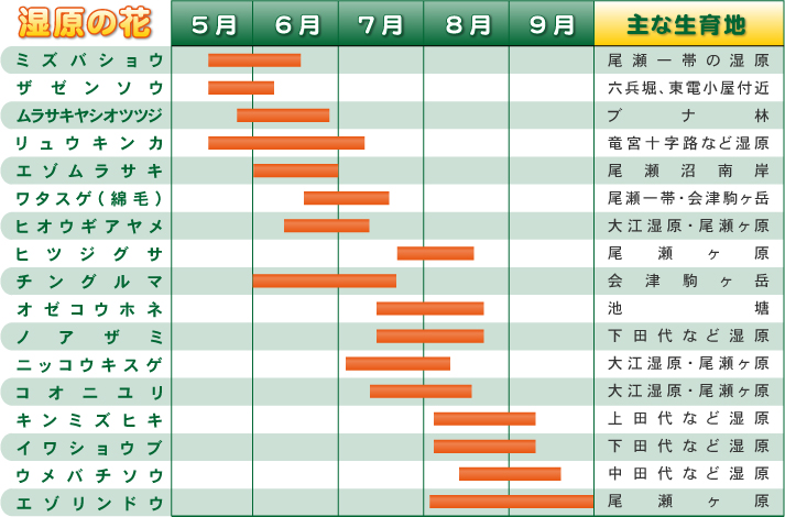 花ごよみ 気候 尾瀬ハイキング14 花と気候と天気