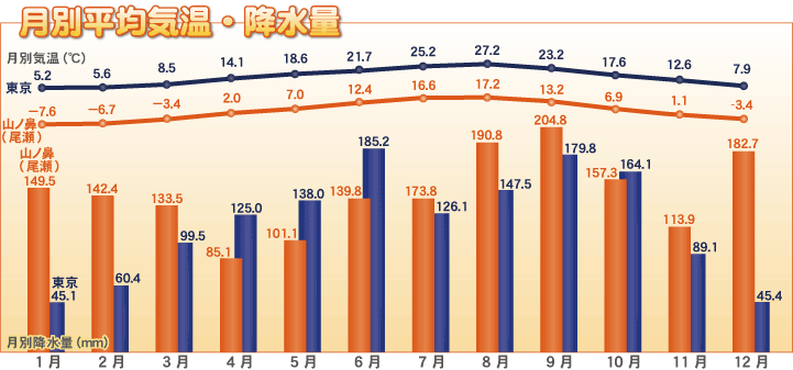 月別平均気温・降水量