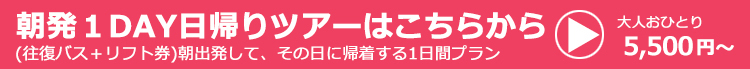 朝発1DAY日帰りバスツアー