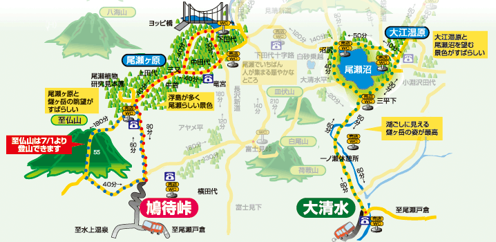 尾瀬の日帰りバスツアー（鳩待峠・大清水コース）案内